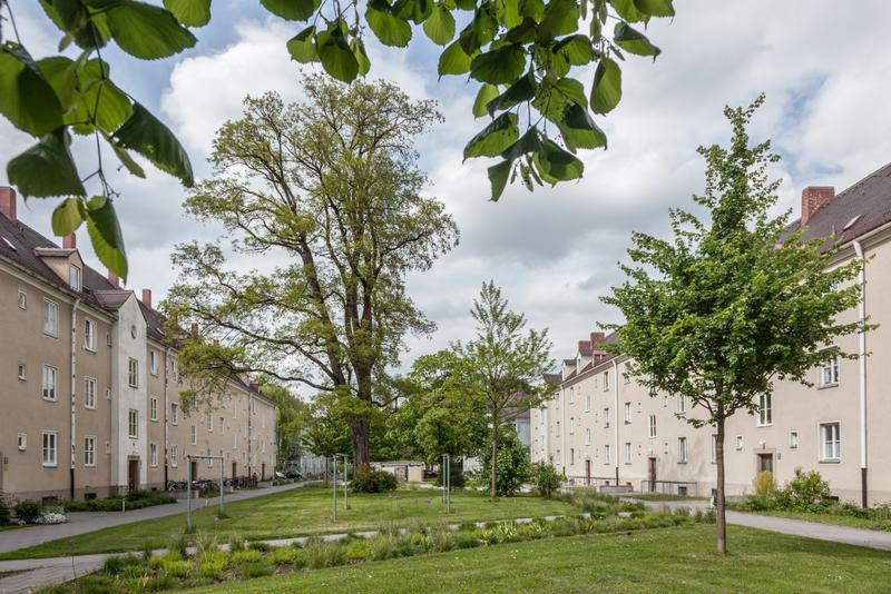 Grünflächen am Piusplatz Edward Beierle im Auftrag MGS Grünflächen am Piusplatz Edward Beierle im Auftrag MGS