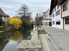 IMG 7086