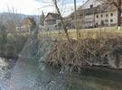 IMG 3286