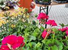 IMG-20240508-WA0007