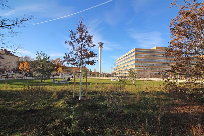 West web Quellepark nachher1