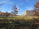 West web Quellepark nachher1