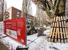 Bauliche Umsetzung zentraler Grünzug Jarrestadt © Tilman Möller