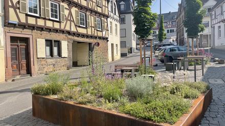 Linz am Rhein: Sanierter Quartiersplatz in der Mühlengasse mit insektenfreundlicher Bepflanzung