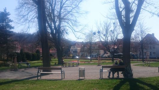 Wernigerode: Frühlingserwachen im kleinen Stadtpark