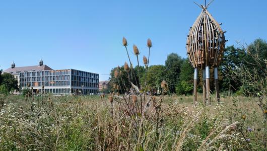 Leipzig: Die Rietzschke Aue – eine multifunktionale Grünfläche und „Grünes Klassenzimmer“ für die Quartiersschule