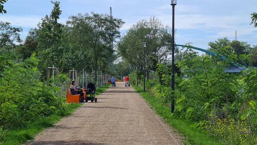 Brandenburg an der Havel: Neues Grün vor der eigenen Haustür - Grünachse Nord